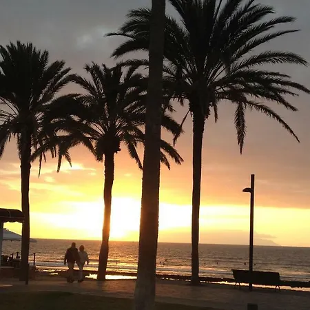 Apartament Ocean Park Ii Costa Adeje (Tenerife)